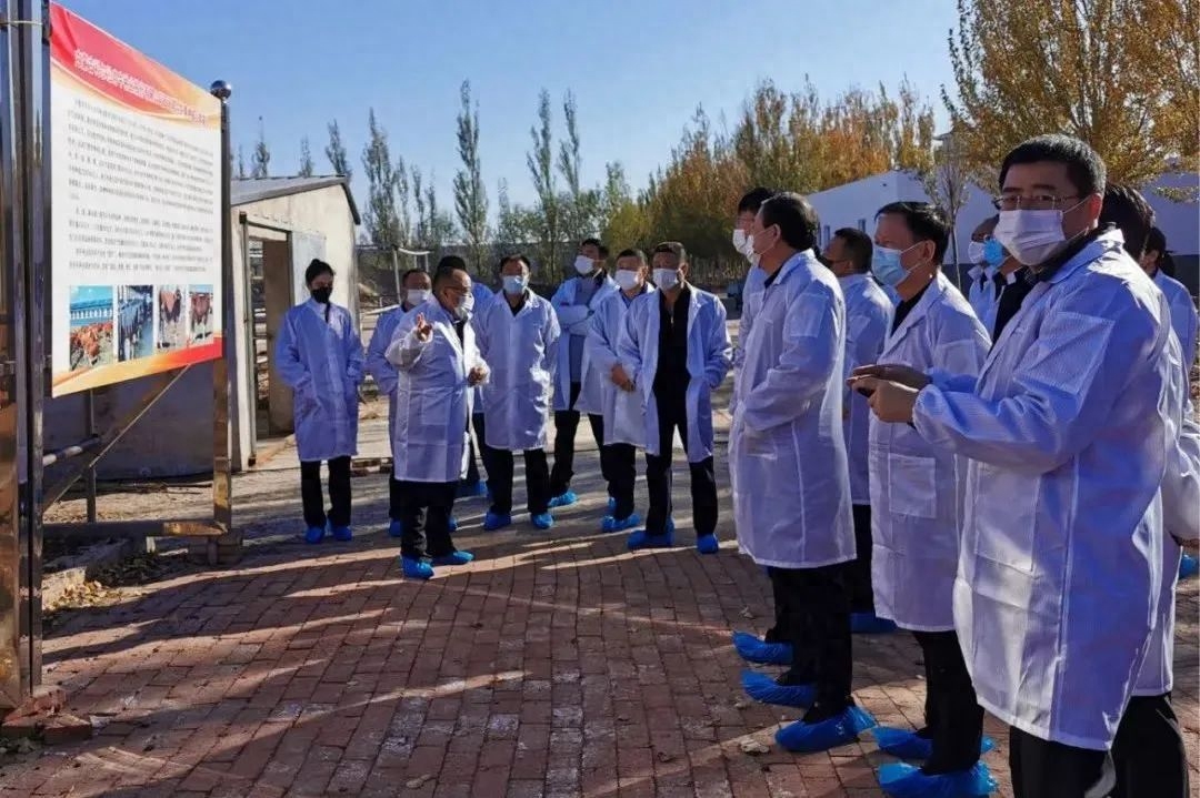 秸秆回收利用项目招商_秸秆回收利用项目招商_秸秆回收利用项目招商