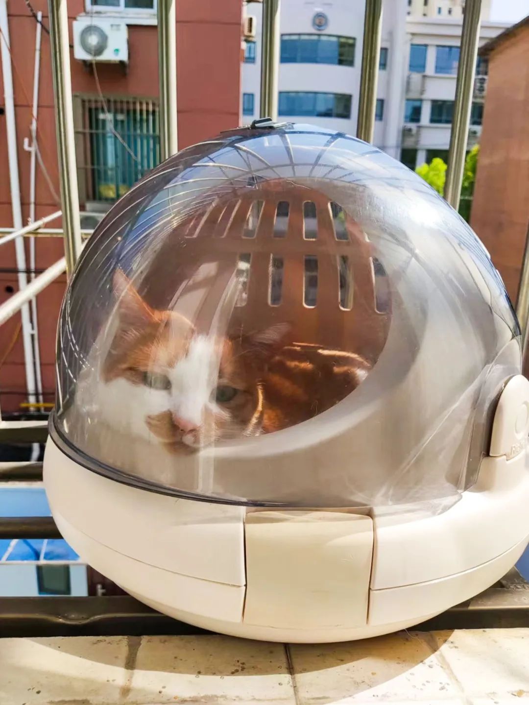 上海专业物资回收_上海正规的废旧物资回收公司_上海物品回收