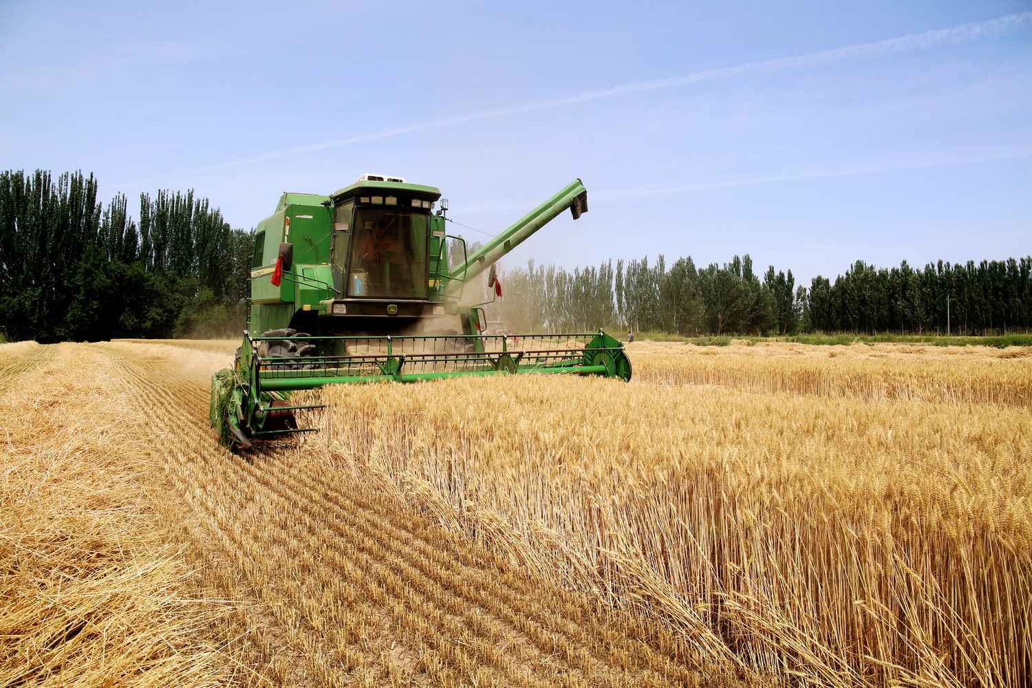 松原二手水稻收割机百姓网_松原水稻收割机二手市场_松原二手水稻收割机