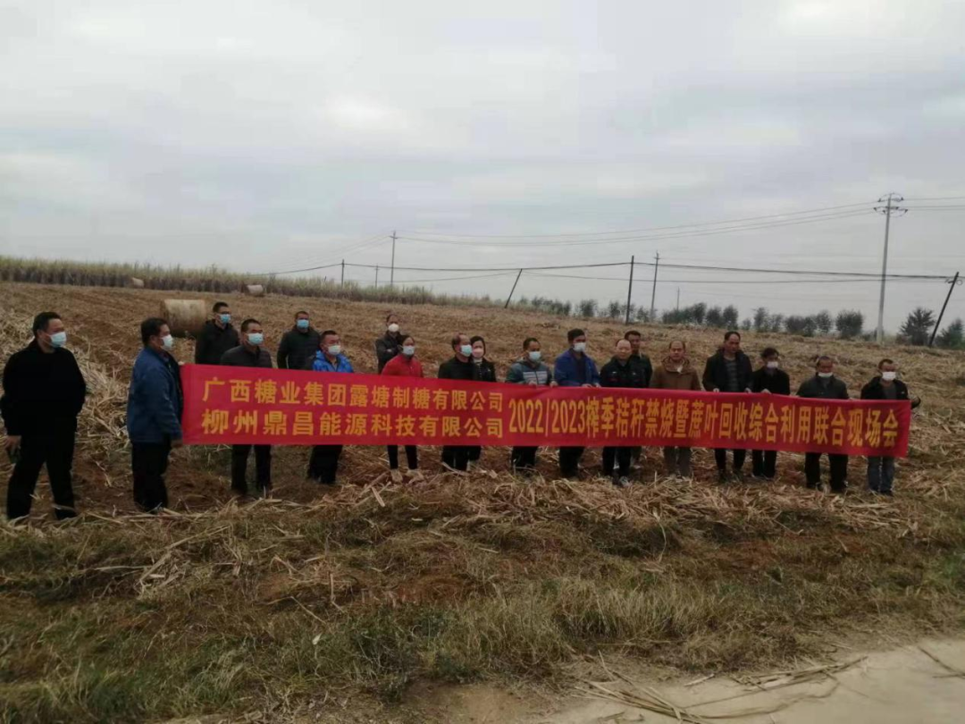 秸秆回收利用项目_回收秸秆利用_秸秆回收利用项目可行性报告