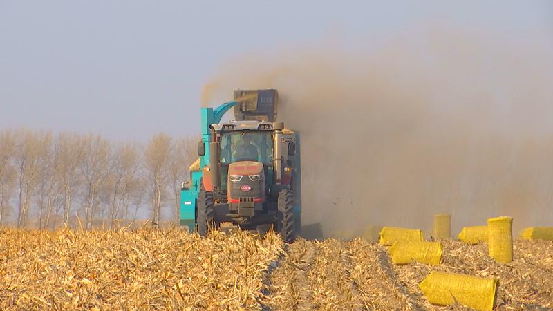 回收秸秆利用_秸秆回收利用项目_秸秆回收利用项目可行性报告