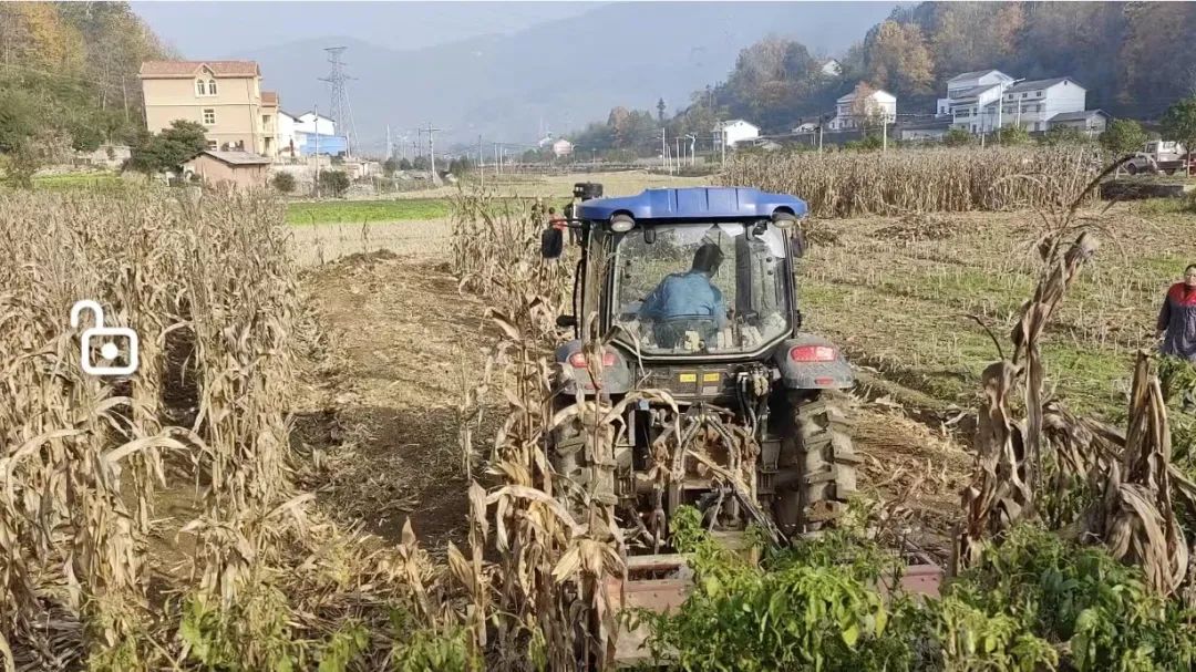 秸秆回收利用项目_秸秆回收利用项目可行性报告_回收秸秆利用