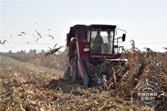 松原二手水稻收割机_松原水稻收割机二手市场_松原二手水稻收割机百姓网