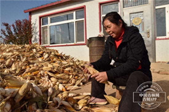 松原二手水稻收割机_松原二手水稻收割机百姓网_松原水稻收割机二手市场