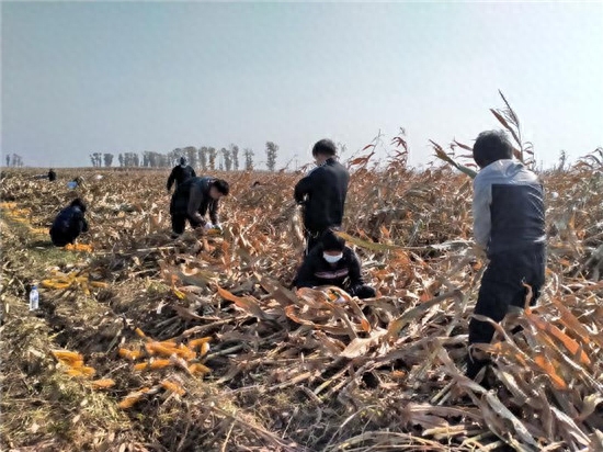 松原水稻收割机二手市场_松原二手水稻收割机_松原二手水稻收割机百姓网