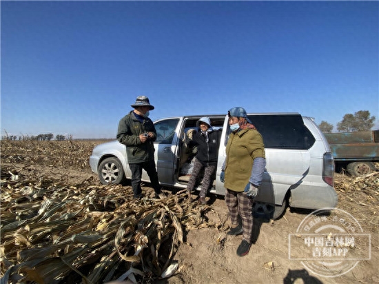 松原水稻收割机二手市场_松原二手水稻收割机_松原二手水稻收割机百姓网