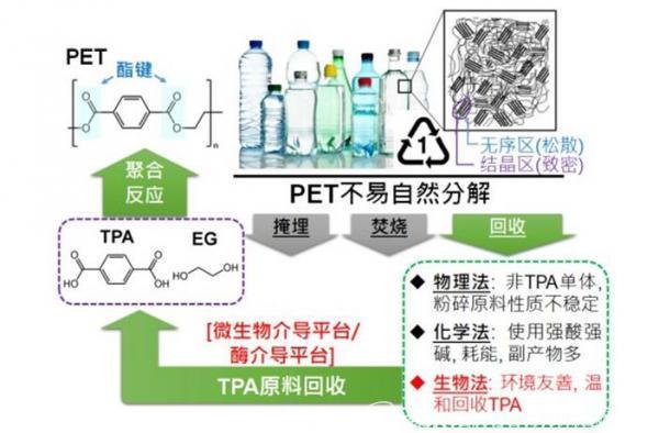 废塑料回收与再生利用污染控制技术规范_废塑料再生利用技术规范_废塑料再生技术