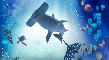 市场行情_硅片价格行情_多晶硅价格走势