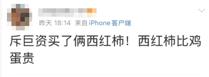 西红柿价格走势预测_价格行情_西红柿价格上涨原因分析