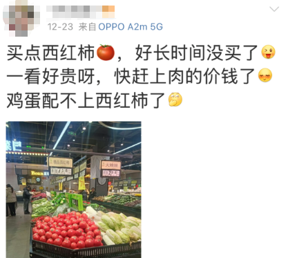 西红柿价格上涨原因分析_西红柿价格走势预测_价格行情