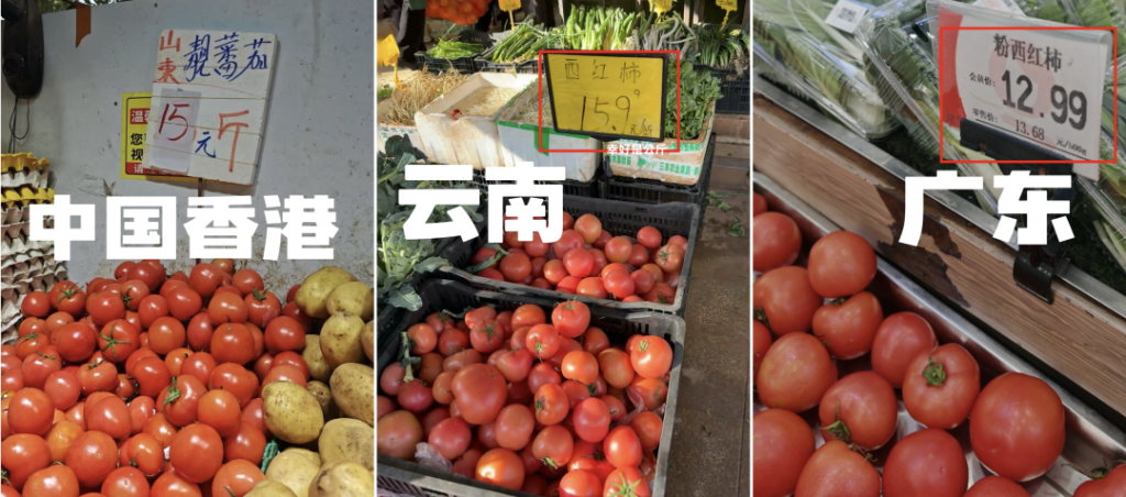 西红柿价格上涨原因分析_价格行情_西红柿价格走势预测