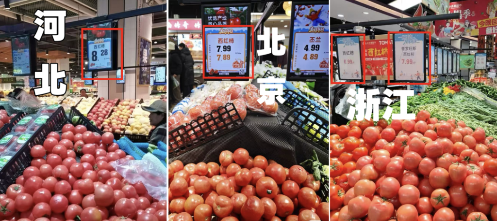 西红柿价格走势预测_价格行情_西红柿价格上涨原因分析