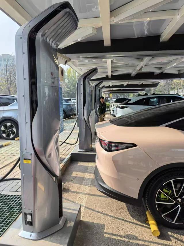 东北瓜子批发价格市场_市场价格_肉马的价格市场