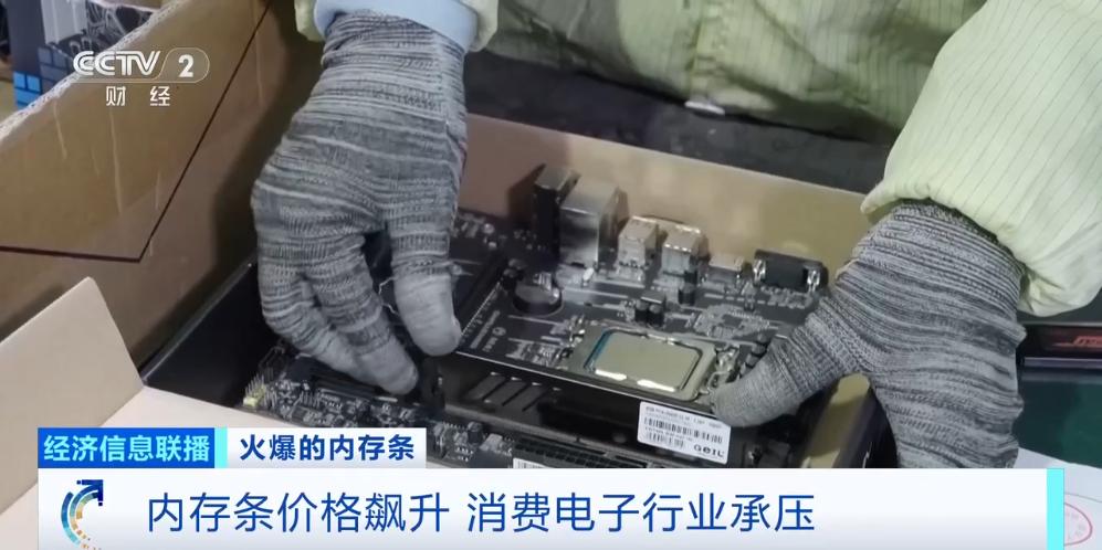 东北瓜子批发价格市场_甲鱼什么价格市场_市场价格