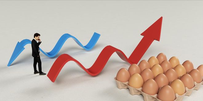 市场价格_价格市场化是什么意思_一手车价格市场