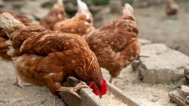 市场价格_价格市场化是什么意思_一手车价格市场