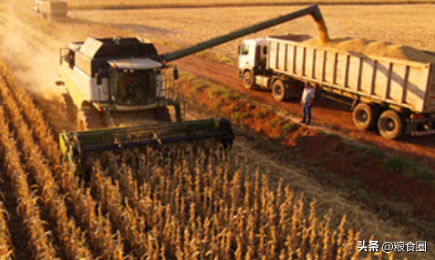 行情走势_豆油现货价格走势_国内油脂市场分析