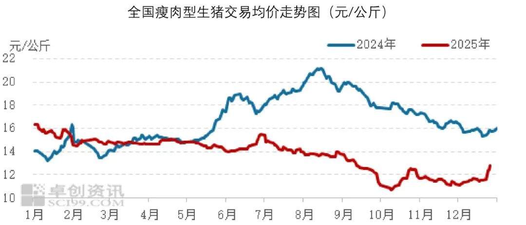 食品与餐饮连锁企业采购行情月度参考_价格趋势_2026年1月