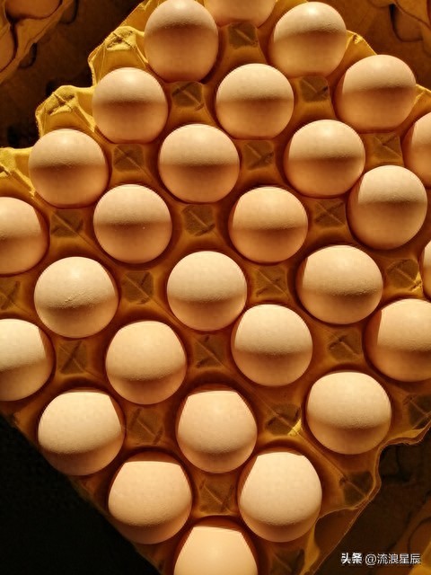 价格行情_水线管理对蛋鸡养殖的影响_鸡蛋价格行情