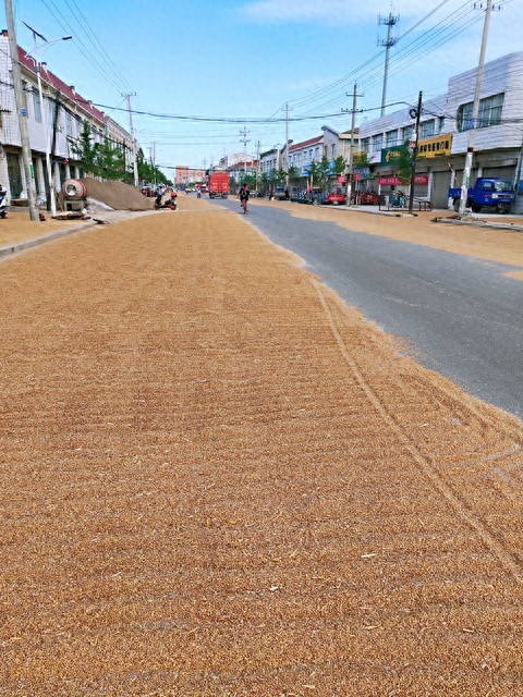 市场行情_小麦价格行情_面粉厂压价原因