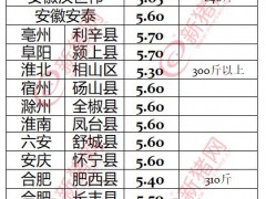 全国猪价行情走势及部分地区仔猪价格详情