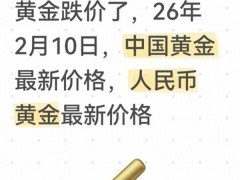 2026 年 2 月 10 日黄金价格动向及相关行情分析