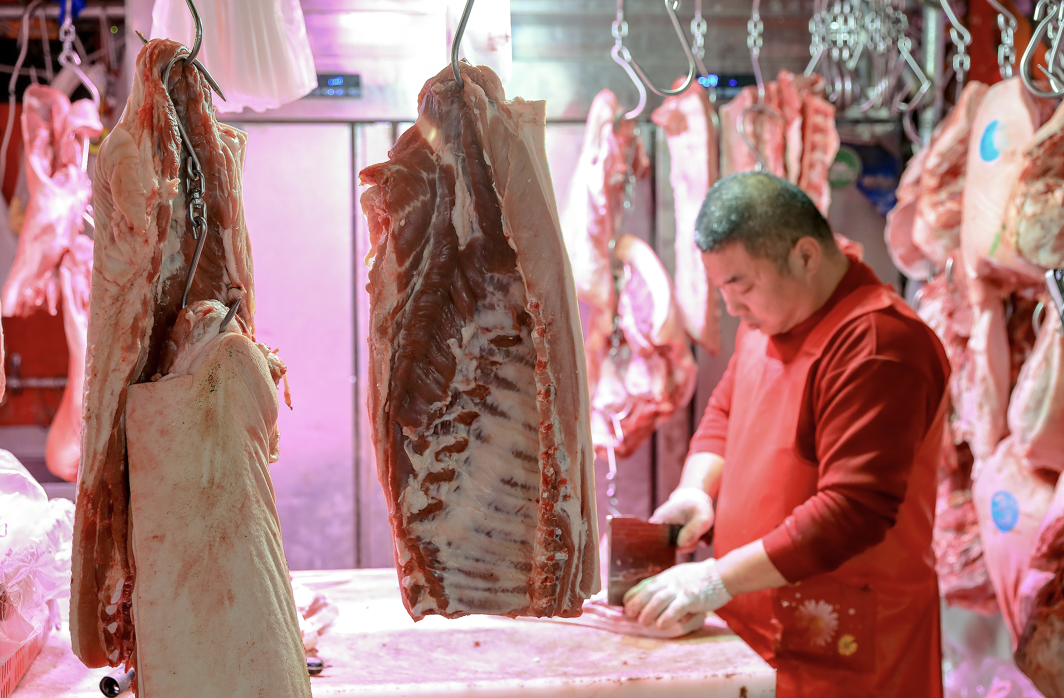 产能过剩对生猪价格影响_价格行情_生猪价格低迷原因分析