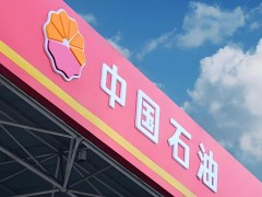 中东局势致油价宽幅震荡，企业国家个人如何应对价格波