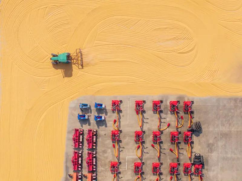 供给端需求端政策影响_玉米价格走势分析_价格趋势