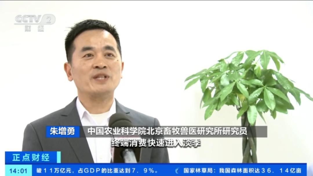 生猪市场供需分析_全国猪肉价格走势_价格走势