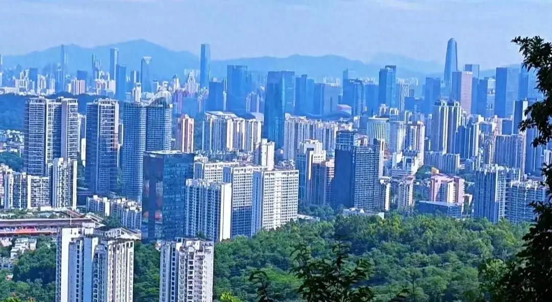 价格演变_二手房去化周期_市场流动性危机