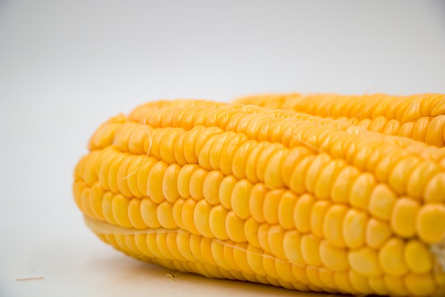 市场行情_托市小麦拍卖影响_玉米市场行情分析