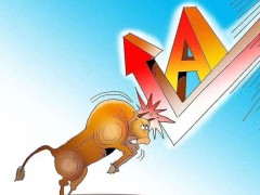 A股低开高走，散户抢筹机构撤退，资源股成避风港