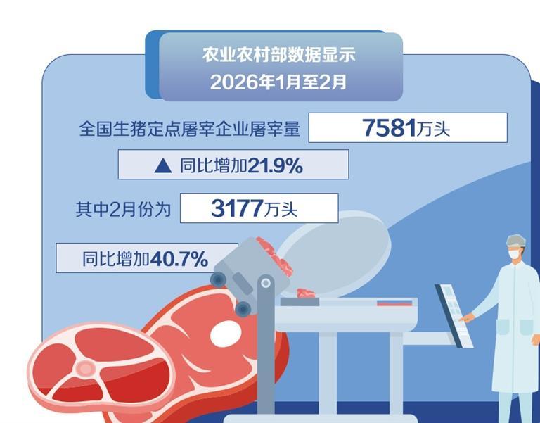 行情走势_生猪价格走势分析_猪肉市场供需关系研究