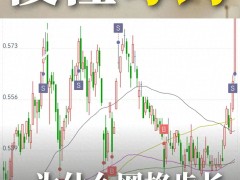 网格步长太小易崩溃！行情波动下如何避免网格交易陷阱