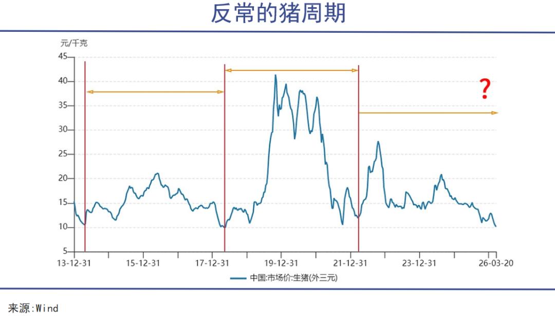 猪肉价格波动规律_猪周期与经济周期关系_价格演变
