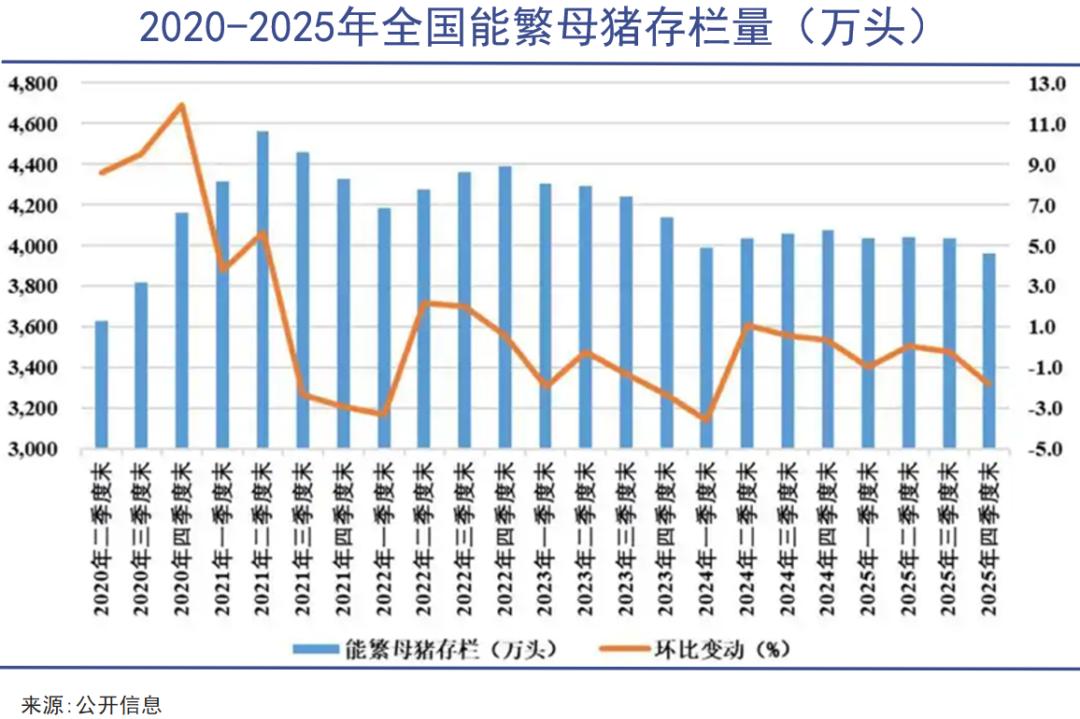 猪肉价格波动规律_猪周期与经济周期关系_价格演变