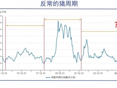 猪价跌回10元，历史规律变了？
