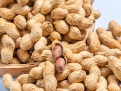 花生价格行情：五一备货启动，产区价涨3.70-4.70元