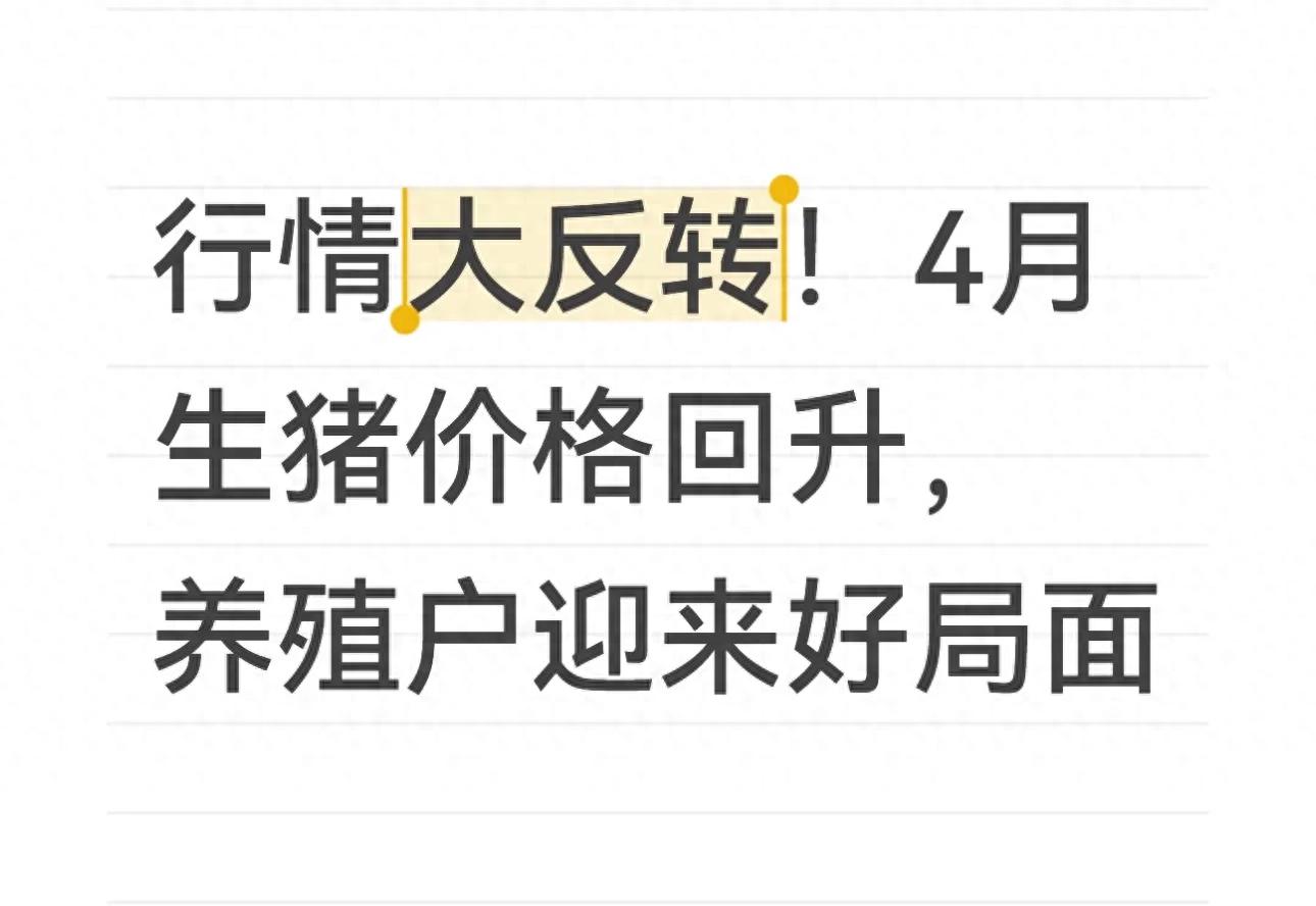 生猪价格回暖走势_价格行情_生猪市场供需平衡分析